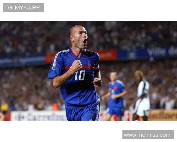 法国足球历史前五大球星精彩排名与成就盘点 法国足球历史前五大球星精彩排名与成就盘点