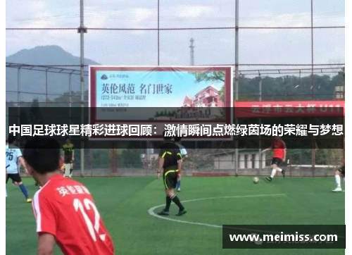 中国足球球星精彩进球回顾：激情瞬间点燃绿茵场的荣耀与梦想